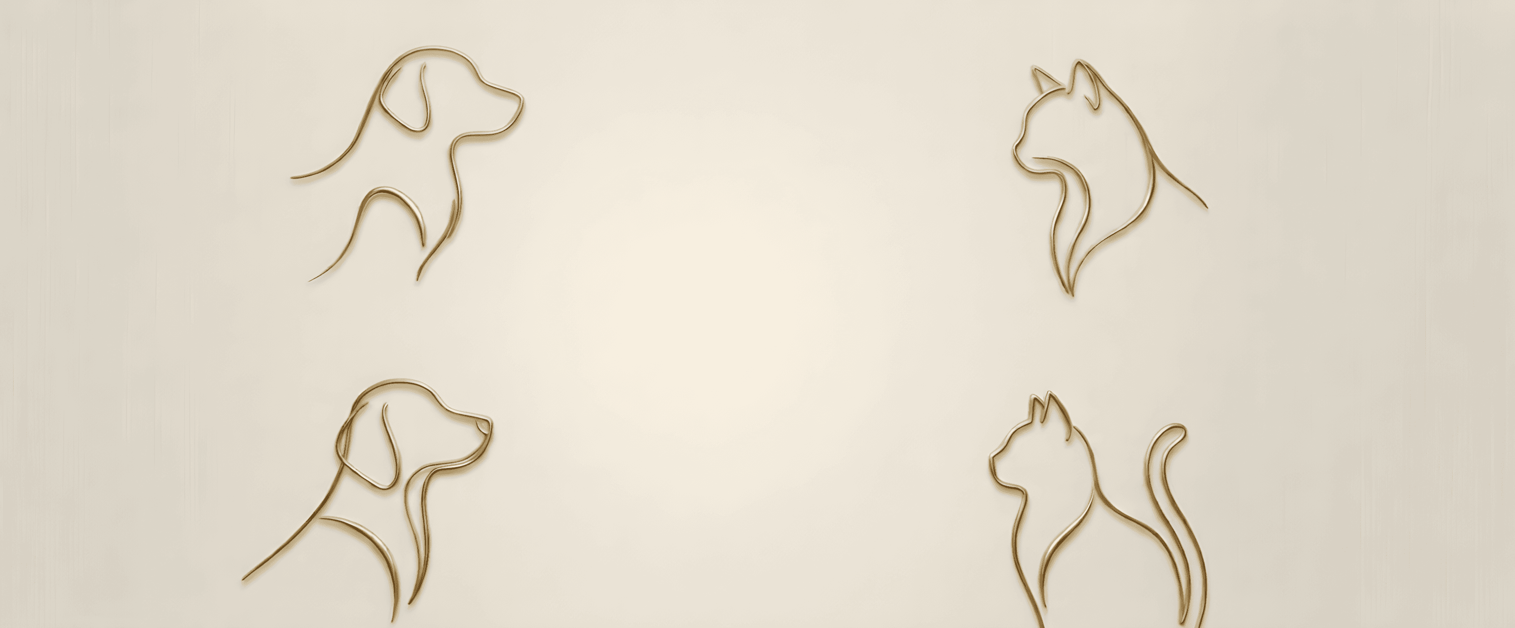 Banner background