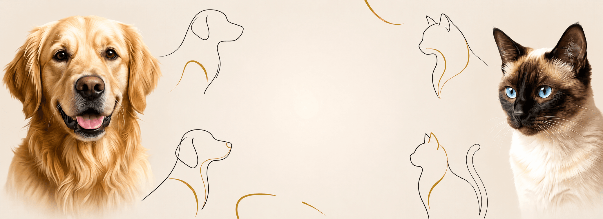 Banner background